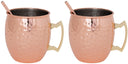 Cosy & Trendy Moscow Mule Cocktailbekers met Rietjes - Gehamerd Koper - 450 ml - 2 Stuks