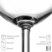 Leonardo Rode Wijnglazen - Daily - 460 ml - 6 stuks