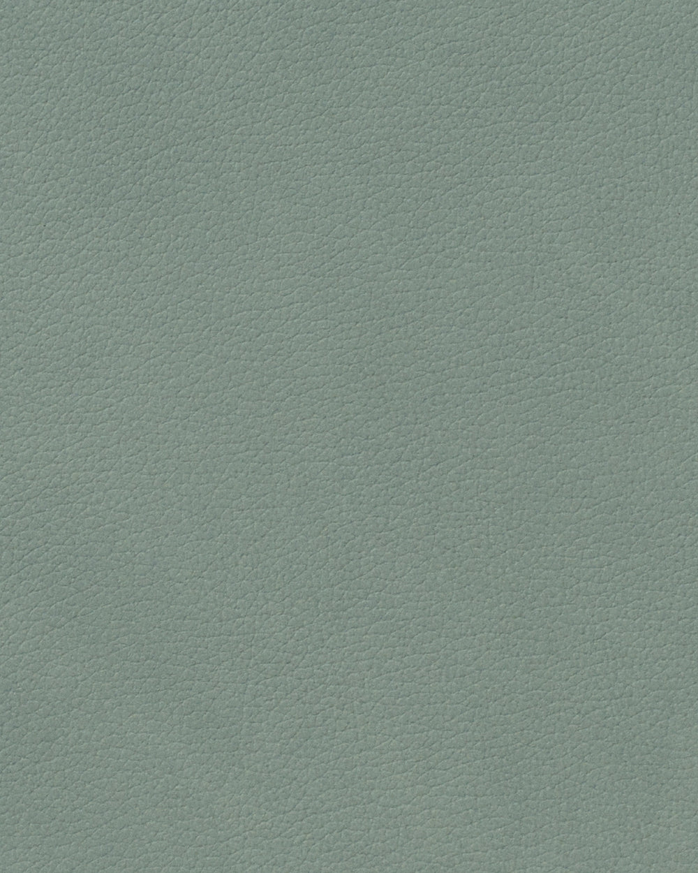 LIND DNA Placemats Nupo - Leer - Pastel Green - Curved - Afwasbaar - 44 x 37 cm - 2 Stuks