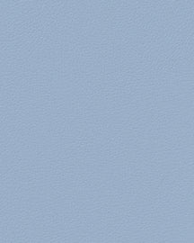 LIND DNA Placemats Nupo - Leer - Lichtblauw - Afwasbaar - 45 x 35 cm - 2 Stuks