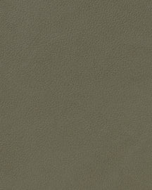 LIND DNA Placemats Nupo - Leer - Army Green - Curved - Afwasbaar - 44 x 37 cm - 2 Stuks