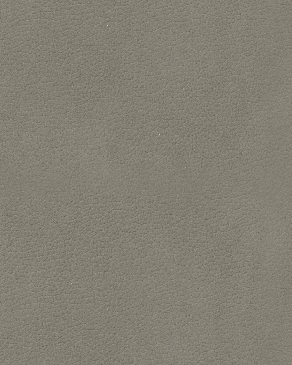 LIND DNA Placemats Nupo - Leer - Flint Grey - Afwasbaar - 45 x 35 cm - 2 Stuks