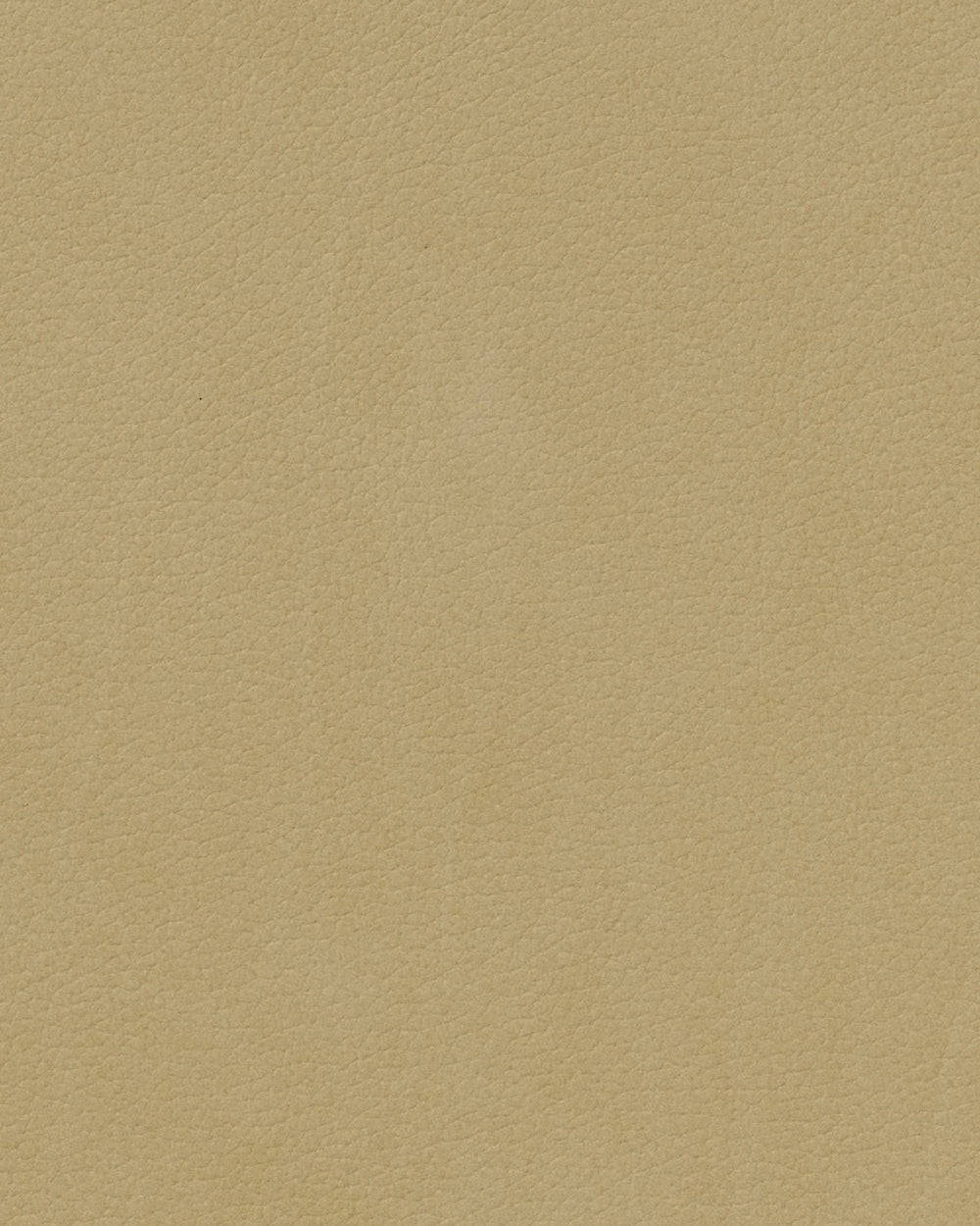 LIND DNA Placemats Nupo - Leer - Khaki - Curved - Afwasbaar - 44 x 37 cm - 2 Stuks