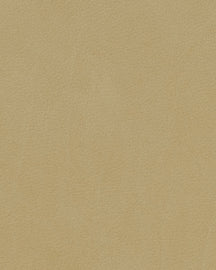 LIND DNA Placemats Nupo - Leer - Khaki - Curved - Afwasbaar - 44 x 37 cm - 2 Stuks