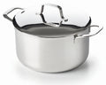 Beka Kookpan Maestro RVS met deksel ø 24 cm / 5.1 liter - geschikt voor alle warmtebronnen