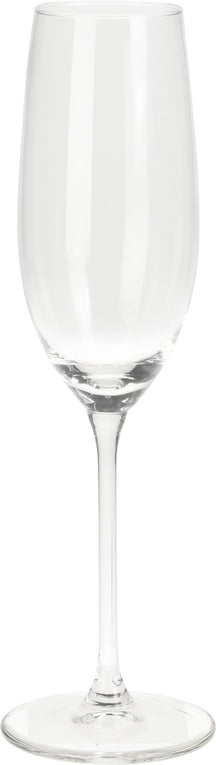 Cookinglife Champagneglazen Solare 210 ml - 4 Stuks