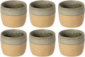 Costa Nova Bekers Arenito Sage Green 360 ml - 6 stuks