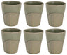 Cosy & Trendy Koffiekopjes / Cappuccino Bekers Bistro Thyme Green 290 ml - 6 stuks