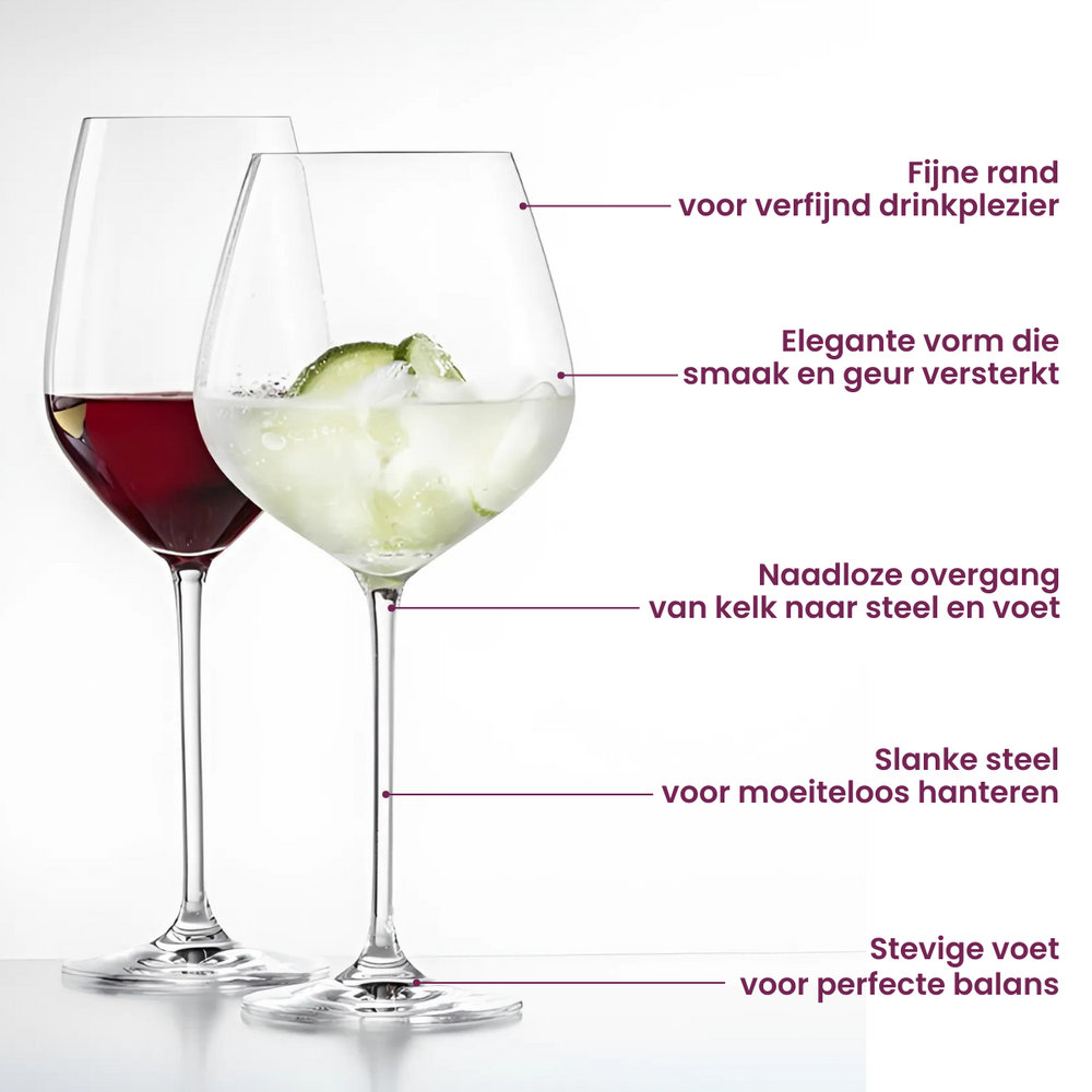 Schott Zwiesel Wijnglazenset Fortissimo 12-delig - Witte Wijnglazen, Rode Wijnglazen & Bourgogneglazen