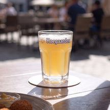 Hoegaarden Bierglazen Witbier - 250 ml - 6 stuks