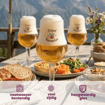 Karmeliet Bierglazen - 330 ml - 2 stuks