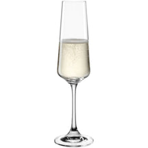 Leonardo Wijnglazenset (Rode wijnglazen + Witte wijnglazen + Champagneglazen) - Paladino - 12 delige set
