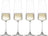 Schott Zwiesel Champagneglazen - Flutes - MioVino - 260 ml - 4 stuks