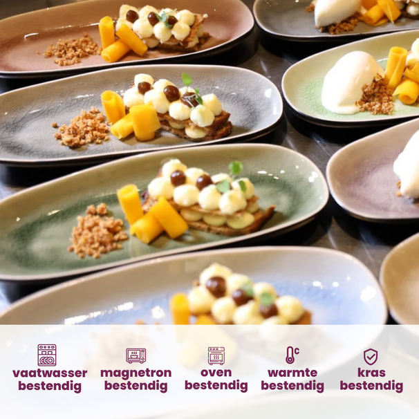 Cosy & Trendy Dessertborden / Tapasborden Streetfood 22.5 x 10 cm - 10 Stuks