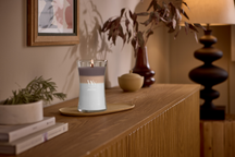 WoodWick Geurkaars Large Trilogy Radiant Cashmere - 18 cm / ø 10 cm - Geurkaars in Glas - Houten Lont