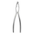 Crafts La Marée Kreeftentang RVS - 15.7 cm