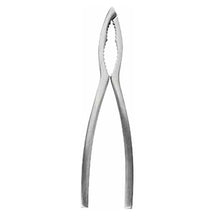 Crafts La Marée Kreeftentang RVS - 15.7 cm
