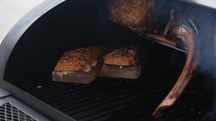 Landmann BBQ / Smoker Startersset Vinson 400 - met Houtskool & Aanmaakwokkels