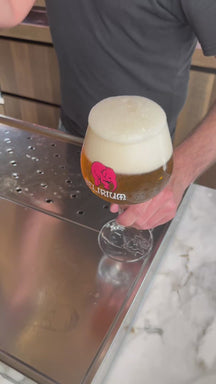 Delirium Bierglazen op Voet - 330 ml - 2 stuks