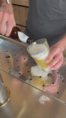 Hoegaarden Bierglazen Witbier - 330 ml - 6 stuks